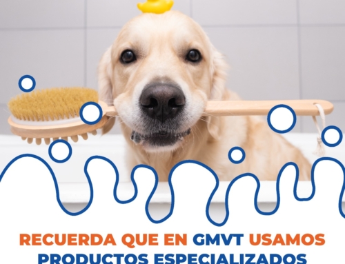 En GMVT usamos productos especializados para el baño de tu mascota